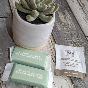 FREE WITH BUNDLE Mini Travel Face Care Set NEW!